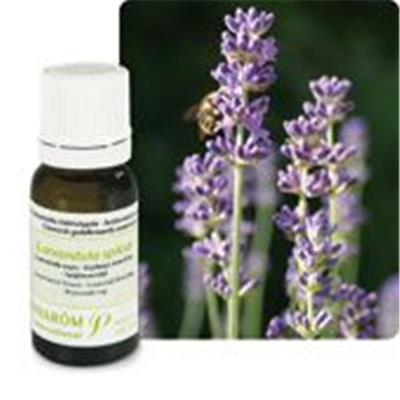 Ätherisches Öl Speiklavendel - Lavandula Spica BIO