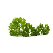 Petroselinum Sativum, Urtinktur oder Pflanzenextrakt BIO