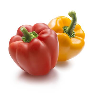 Capsicum Annuum-Paprika, Urtinktur oder Pflanzenextrakt BIO