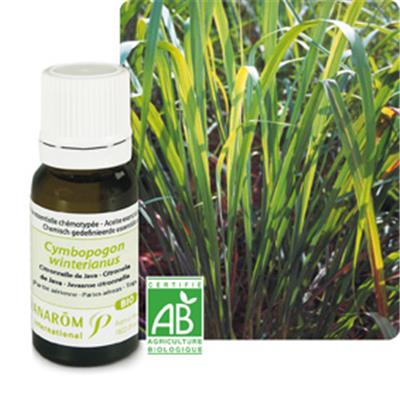 Ätherisches Öl Zitronenkraut - Cymbopogon Citratus BIO