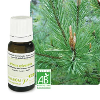 Ätherisches Öl Kiefernadel - Pinus Sylvestris BIO