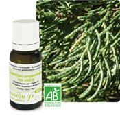 Ätherisches Öl Zypressen - Cupressus BIO