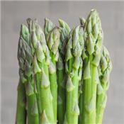 Asparagus Officinalis-Spargel, Urtinktur oder Pflanzenextrakt BIO