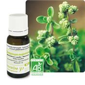 Ätherisches Öl Majoran - Origanum Majorana BIO