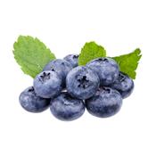 Vaccinum Myrtillus-Bickbeere, Knospen Glycerinmazerat BIO