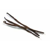 Vanilla Planifolia, Urtinktur oder Pflanzenextrakt BIO