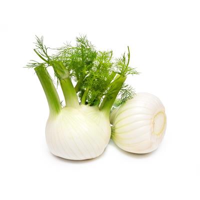 Foeniculum Vulgare-Fenchel, Urtinktur oder Pflanzenextrakt BIO