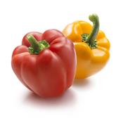 Capsicum Annuum-Paprika, Urtinktur oder Pflanzenextrakt BIO