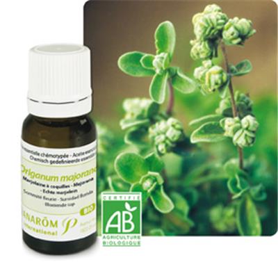 Ätherisches Öl Majoran - Origanum Majorana BIO
