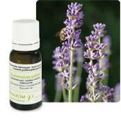 Ätherisches Öl Speiklavendel - Lavandula Spica BIO