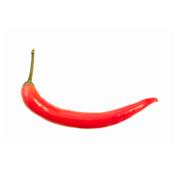 Capsicum Frutescens-Pfeffer, roter, Urtinktur oder Pflanzenextrakt BIO