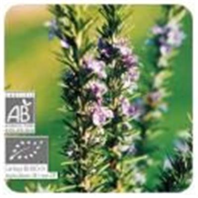 Ätherisches Öl Rosmarin Verbenon - Rosmarinus officinalis ct verbenone BIO