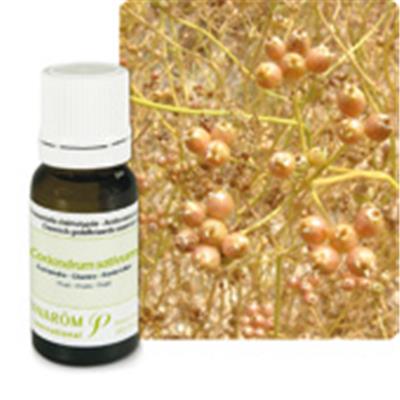 Ätherisches Öl Koriander - Coriandrum Sativum