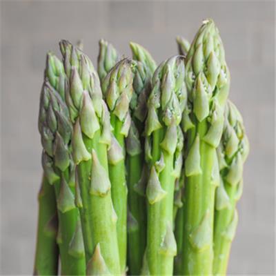 Asparagus Officinalis-Spargel, Urtinktur oder Pflanzenextrakt BIO