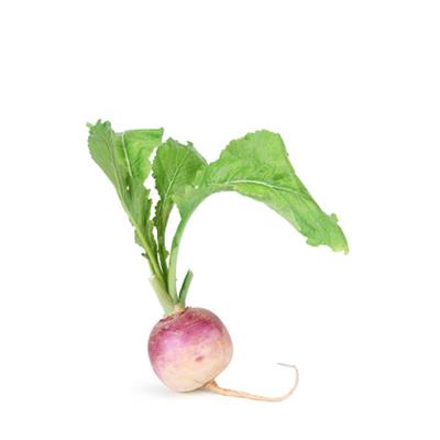 Brassica Napus, Urtinktur oder Pflanzenextrakt BIO