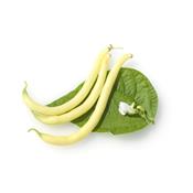 Phaseolus Vulgaris-Bohne, gemeine, Urtinktur oder Pflanzenextrakt BIO