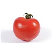 Solanum Lycopersicum, Urtinktur oder Pflanzenextrakt BIO