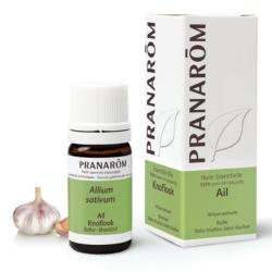 Ätherisches Öl Knoblauch - Allium sativum