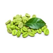 Coffea Cruda, Urtinktur oder Pflanzenextrakt BIO