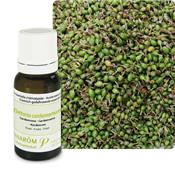 Ätherisches Öl Kardamon - Elettaria Cardamomum