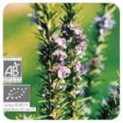 Ätherisches Öl Rosmarin Verbenon - Rosmarinus officinalis ct verbenone BIO