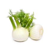 Foeniculum Vulgare-Fenchel, Urtinktur oder Pflanzenextrakt BIO