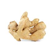 Zingiber Officinale-Ingwer, Urtinktur oder Pflanzenextrakt BIO