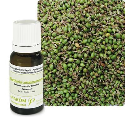 Ätherisches Öl Kardamon - Elettaria Cardamomum
