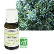 Ätherisches Öl Niaouli - Melaleuca Quinquenervia BIO